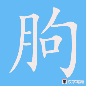 《朐》的笔顺动画写字动画演示
