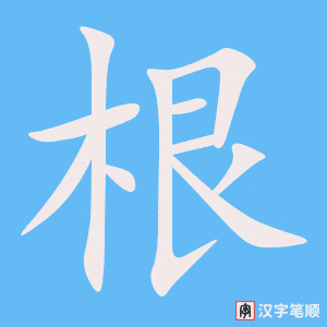 《根》的笔顺动画写字动画演示