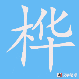 《桦》的笔顺动画写字动画演示