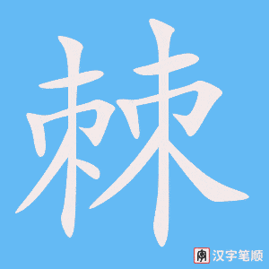 《棘》的笔顺动画写字动画演示