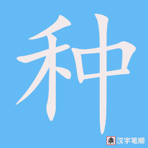 《种》的笔顺动画写字动画演示