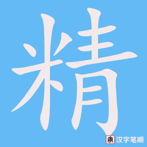 《精》的笔顺动画写字动画演示