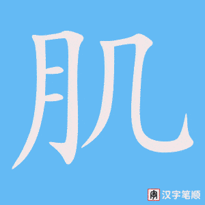《肌》的笔顺动画写字动画演示