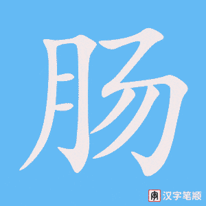 《肠》的笔顺动画写字动画演示