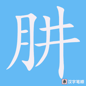 《肼》的笔顺动画写字动画演示