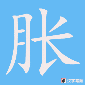 《胀》的笔顺动画写字动画演示
