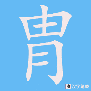 《胄》的笔顺动画写字动画演示
