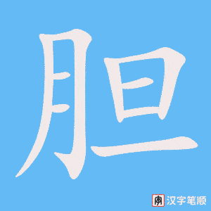 《胆》的笔顺动画写字动画演示