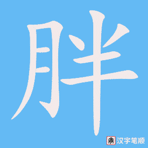 《胖》的笔顺动画写字动画演示