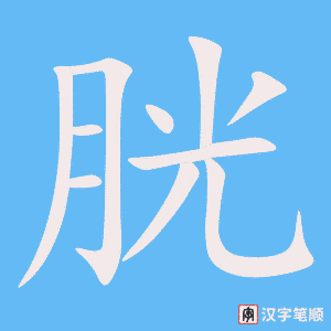 《胱》的笔顺动画写字动画演示