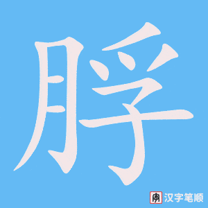 《脬》的笔顺动画写字动画演示