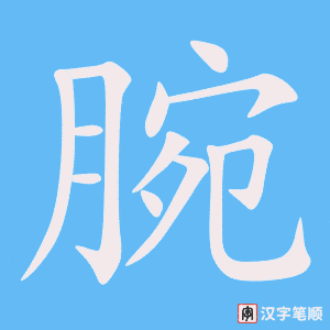 《腕》的笔顺动画写字动画演示