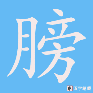 《膀》的笔顺动画写字动画演示