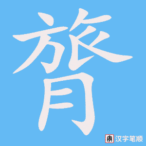 《膂》的笔顺动画写字动画演示
