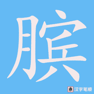 《膑》的笔顺动画写字动画演示