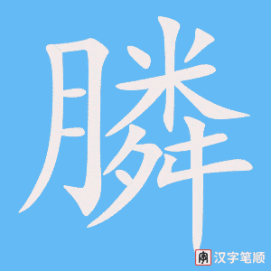 《膦》的笔顺动画写字动画演示