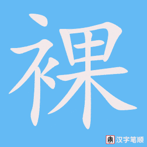 《裸》的笔顺动画写字动画演示