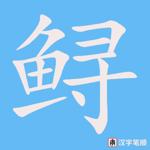 《鲟》的笔顺动画写字动画演示