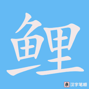 《鲤》的笔顺动画写字动画演示