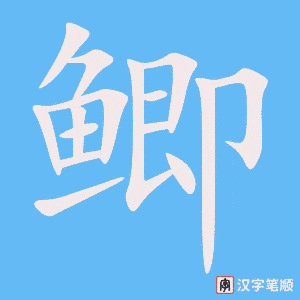 《鲫》的笔顺动画写字动画演示