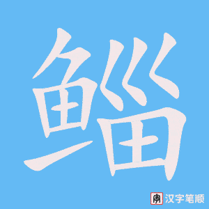 《鲻》的笔顺动画写字动画演示