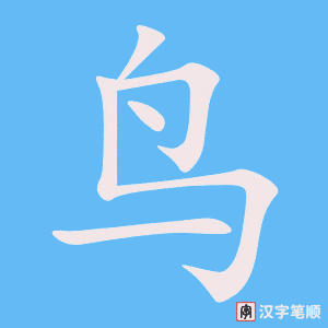 《鸟》的笔顺动画写字动画演示