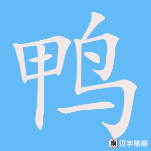 《鸭》的笔顺动画写字动画演示