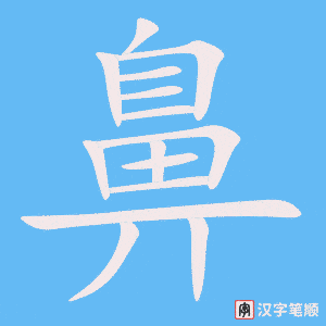 《鼻》的笔顺动画写字动画演示