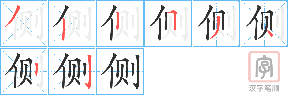 《侧》的笔顺分步演示（一笔一画写字）