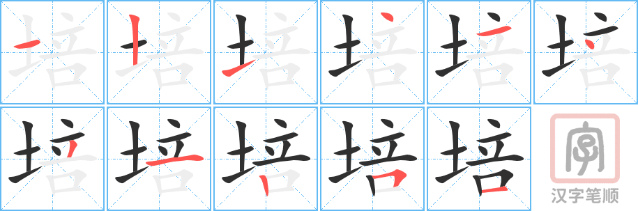 《培》的笔顺分步演示（一笔一画写字）