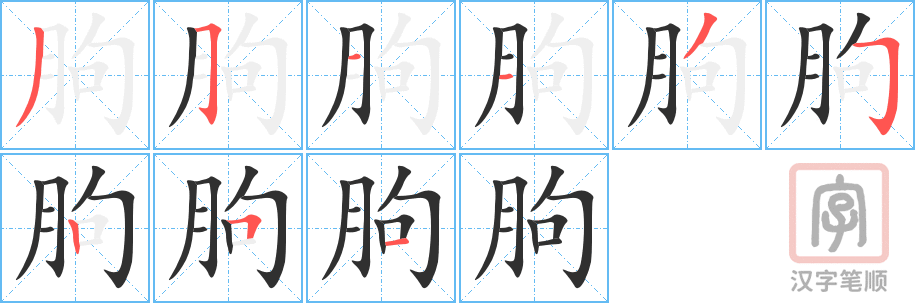 《朐》的笔顺分步演示（一笔一画写字）