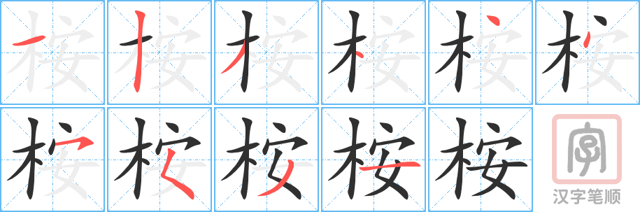 《桉》的笔顺分步演示（一笔一画写字）