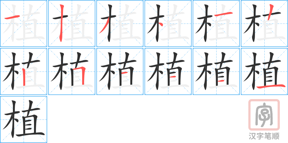 《植》的笔顺分步演示（一笔一画写字）