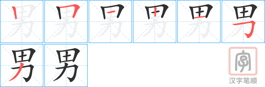 《男》的笔顺分步演示（一笔一画写字）