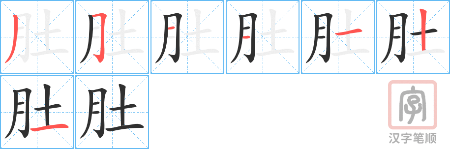《肚》的笔顺分步演示（一笔一画写字）