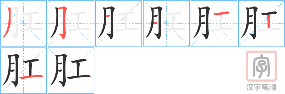 《肛》的笔顺分步演示（一笔一画写字）