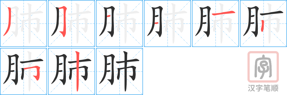 《肺》的笔顺分步演示（一笔一画写字）