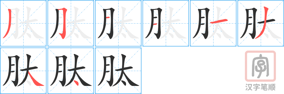 《肽》的笔顺分步演示（一笔一画写字）