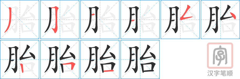 《胎》的笔顺分步演示（一笔一画写字）