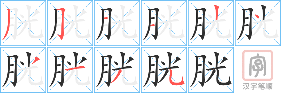 《胱》的笔顺分步演示（一笔一画写字）