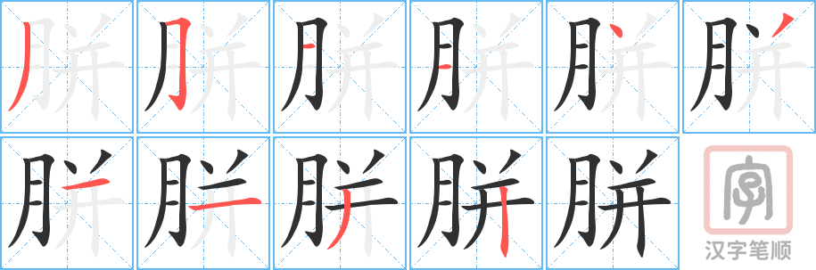 《胼》的笔顺分步演示（一笔一画写字）