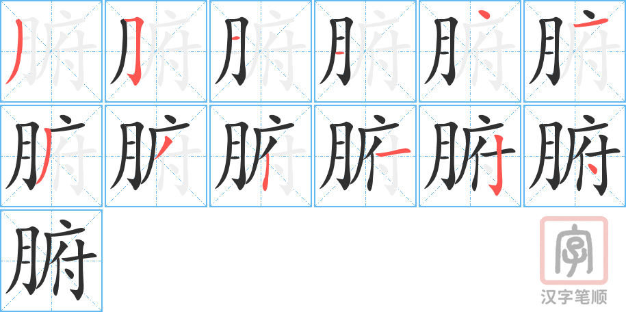 《腑》的笔顺分步演示（一笔一画写字）