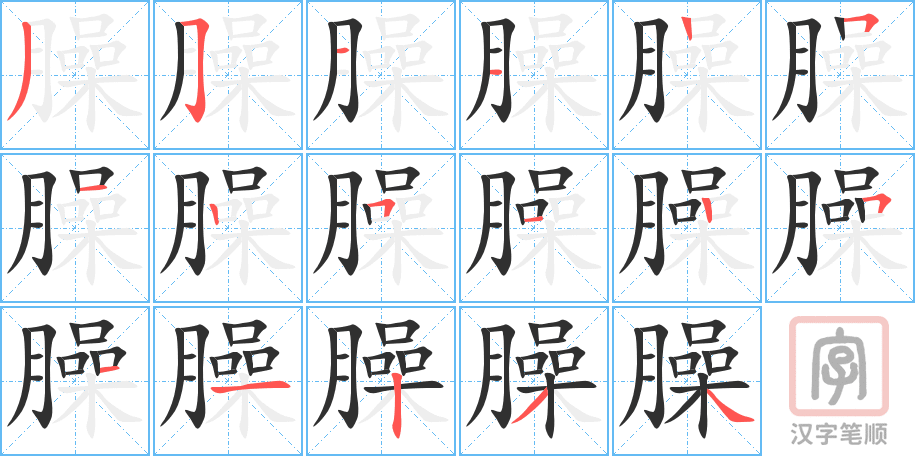 《臊》的笔顺分步演示（一笔一画写字）